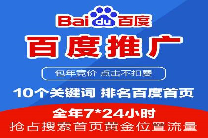 行业领先的SEM竞价广告投放案例